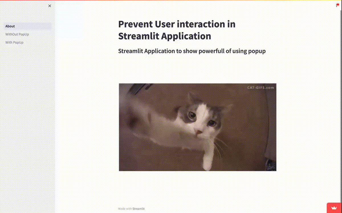 Optimizing Streamlit Apps Preventing Reruns After User Interactions in