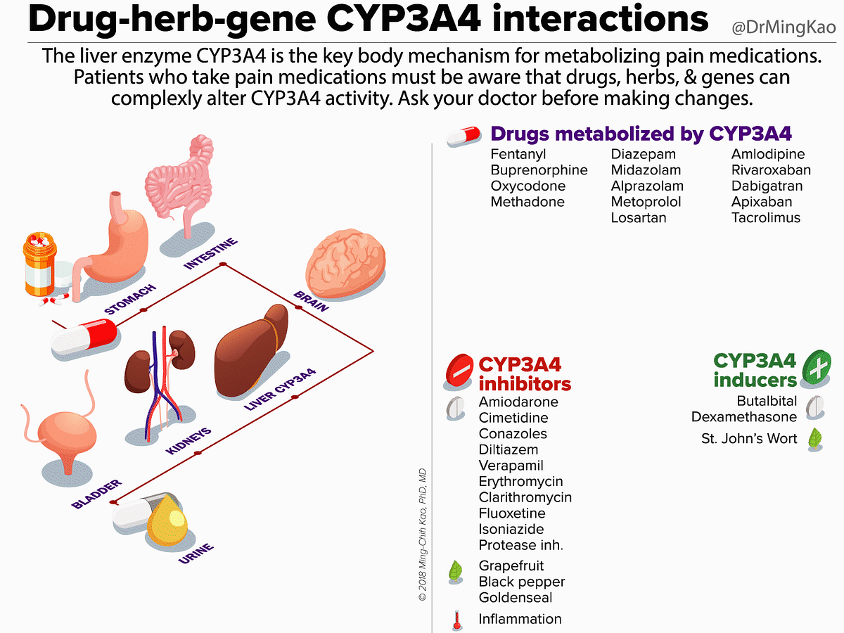Drugherbgene CYP3A4 interactions by Dr. Ming Kao Within Normal