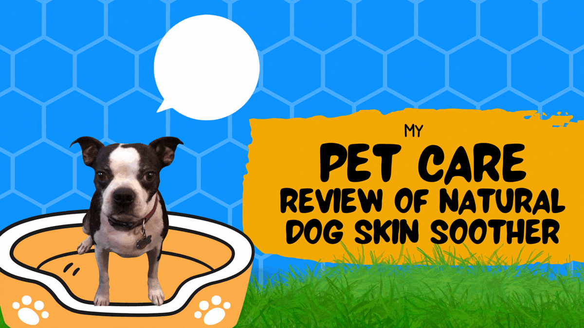 Natural Dog Skin Soother for Canine Skin Health Medium