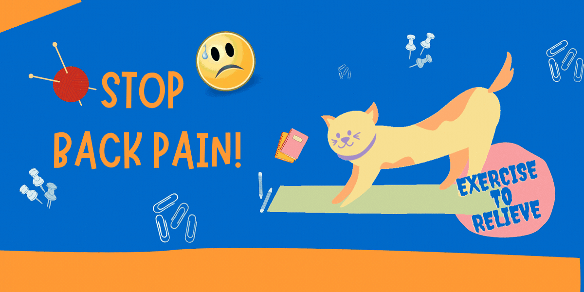 Can Sitting Too Long Cause Back Pain? by ckpal Medium