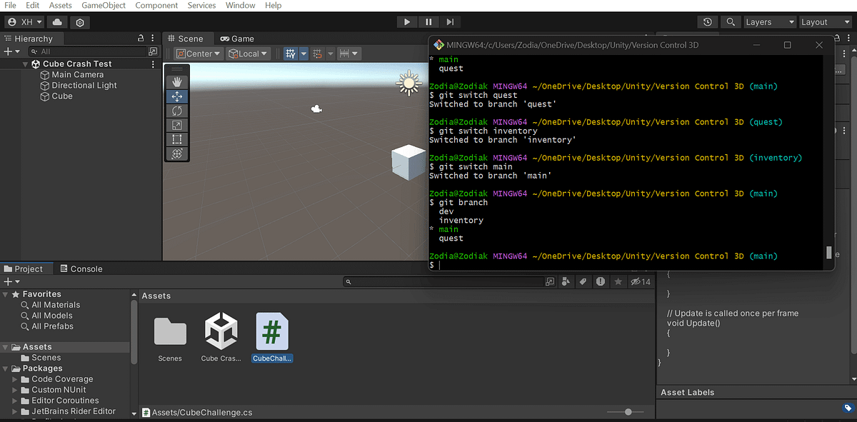 Working in specific Branches. Switching between different branches