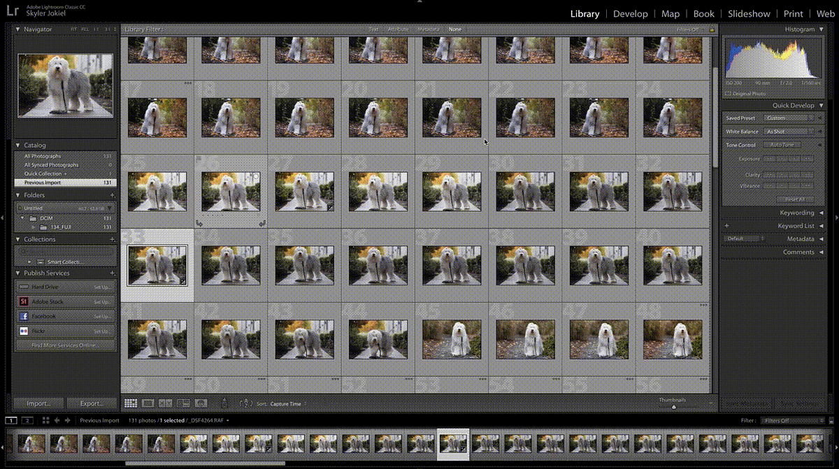 Easily Apply Fuji’s Film Simulations in Lightroom by Skyler Jokiel
