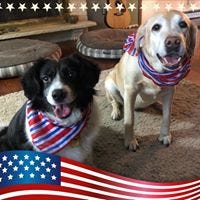 About – Jenny Anderson – Medium