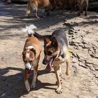 Melissa Miller – Medium