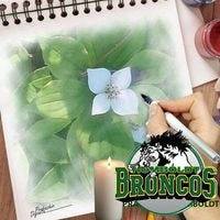 Debra Ann Gillespie-Sweetnam – Medium