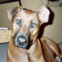 Laura Bernal – Medium