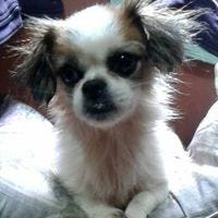 Diana Romero on Medium curated some lists