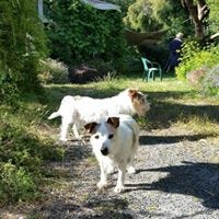 Jackie Bate – Medium