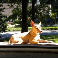 Sienna Schwan – Medium