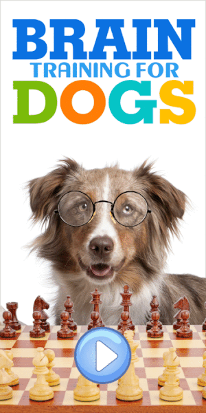 Brain Training for Dogs by Adrienne Farricelli by Adrienne F.