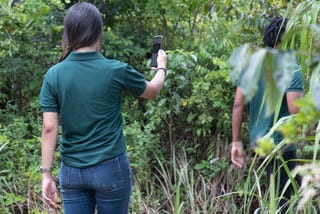 💚 The Climate Collective Member Spotlight: Open Forest Protocol | by ...