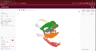 Active learning through visualizing vector embeddings | by Nick | Medium
