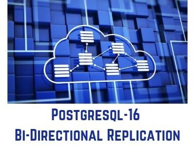 PostgreSQL 16 Bi-Directional Replication Guide | by Data Patrol ...