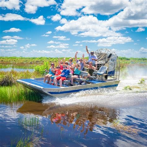 5 Best Florida Everglades Airboat Adventures: Wildlife Encounters You