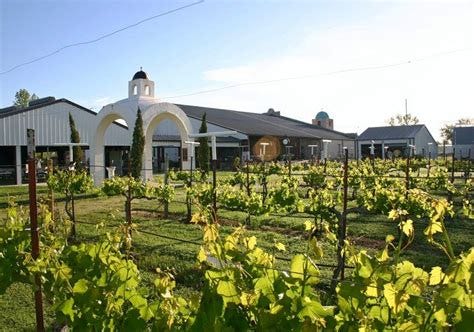 Top 5 Santa Fe Wine Tours: Sip & Savor New Mexico! by Fernandeshsfei