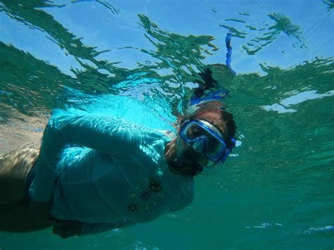 Dive into Paradise: 5 Best Snorkeling Tours for Rays, Sharks & Turtles