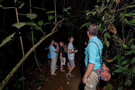 5 Best Rainforest Night Walk and Authentic Costa Rican Dinner from La ...