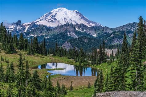 Top 3 Mt Rainier National Park Classes and Workshops | by ...