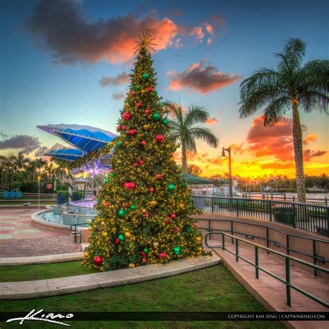 Top Things to Do for Christmas in Florida: 10 Must-See Attractions | by