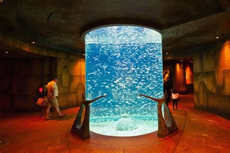 Discover Atlantis The Palm Dubai: A Deep Dive into Its Stunning