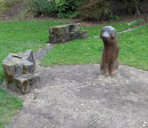 the-lucky-dog-of-todmorden-i-speak-to-a-friend-in-london-he-says