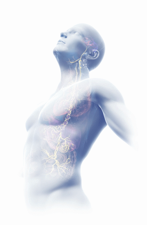 electroCore launches new vagus nerve stimulator in US - Medical