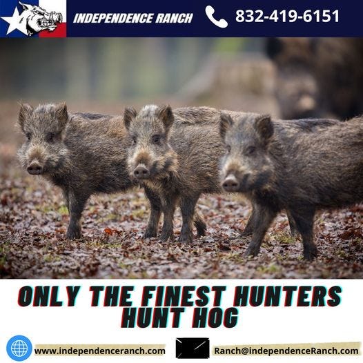 Types Of Hunting License In Texas by INDEPENDENCE RANCH Medium