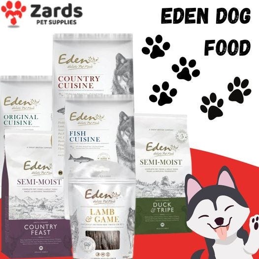 How to Choose the Best Dog Dry Food? by Zards pet supplies Jan
