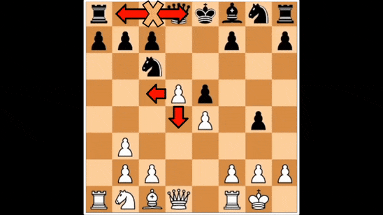New AlphaZero Paper Explores Chess Variants 