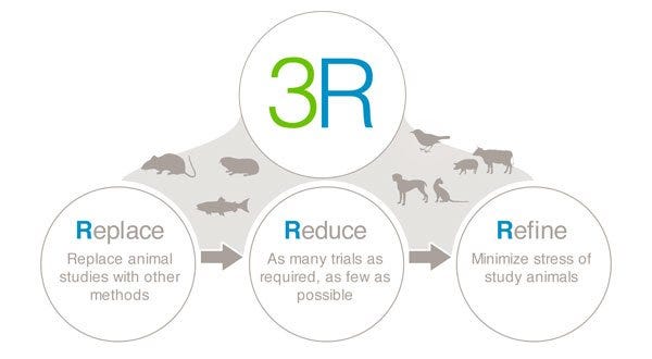 Refinement in Animal Research: A Crucial Step Toward Ethical Progress ...