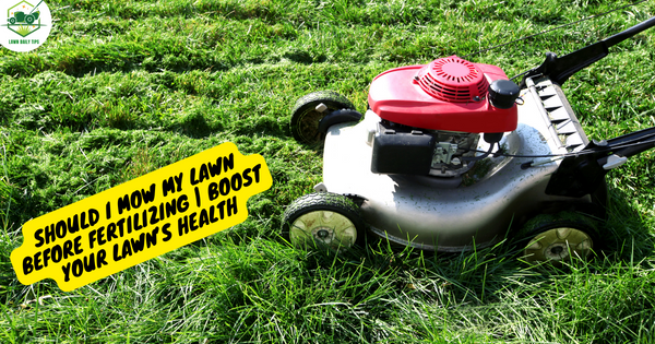 Should I Mow My Lawn Before Fertilizing Boost Your Lawn’s Health By Lawn Daily Tips Feb