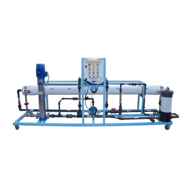 Do Alligators Go To Brackish Water? by Sara Khan Medium