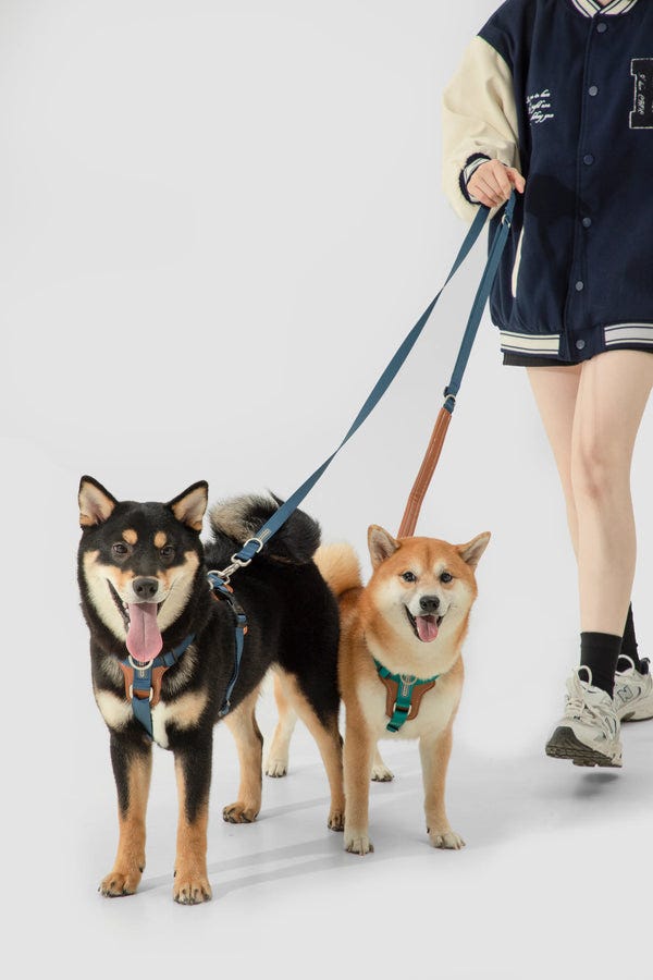 THE TOP 10 DOG HARNESSES YOU NEED TO TRY FOR YOUR PUP by Nowrin Feb