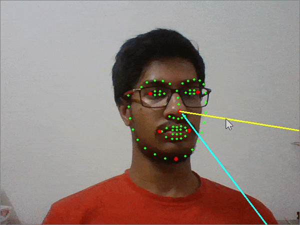 Real-Time Head Pose Estimation in Python | Towards Data Science