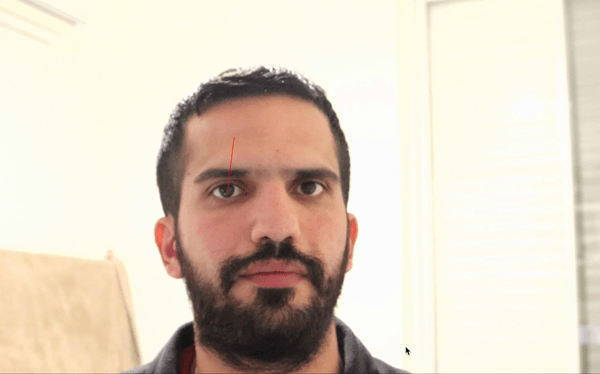 Python 3D Eye Gaze Estimation. 使用Python 100行內寫出3D Eye Gaze Estimation ...