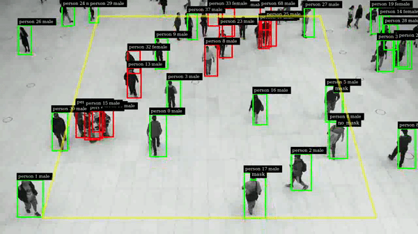 Enforcing COVID-19 Regulations through Monitoring Social Distancing: A ...