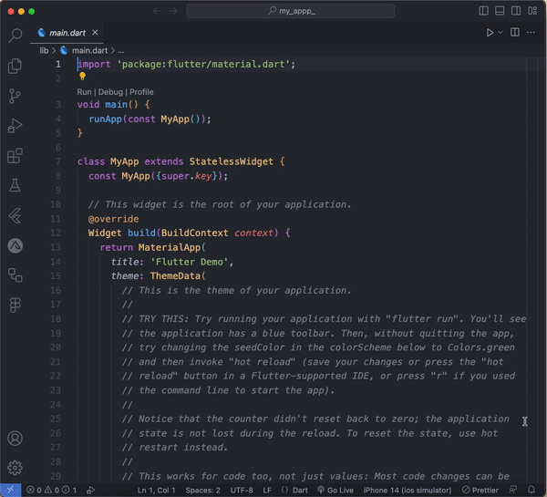 How to Create an Empty Flutter Project Without the Counter App ...