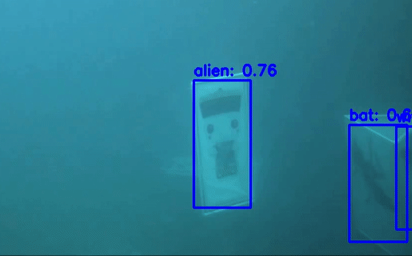 Detecto — An object detection library for PyTorch | by Alan Bi ...