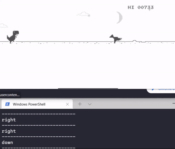 Bot Plays Chrome Dinosaur Game (Almost 1 Million Score) on Make a GIF