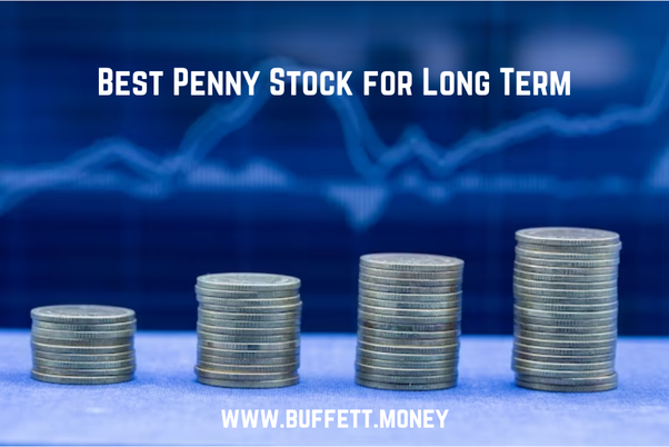 WHICH PENNY STOCK IS BEST FOR LONG TERM INVESTMENT visual data 8