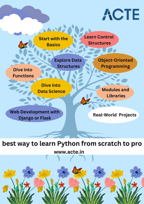 Tips for the Best Way to Learn Python from Scratch to Pro | by ...