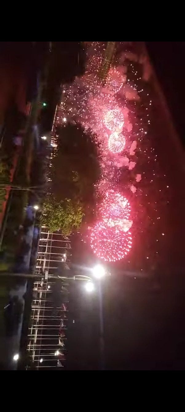 Firework in Germany. The goal of the fireworks policy in the… by