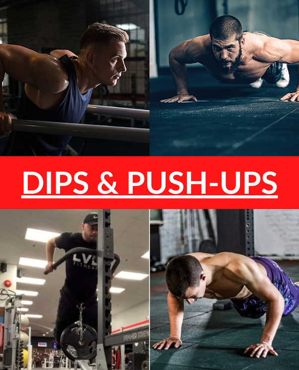 What is better for building bigger arms and pecs, dips or pushups