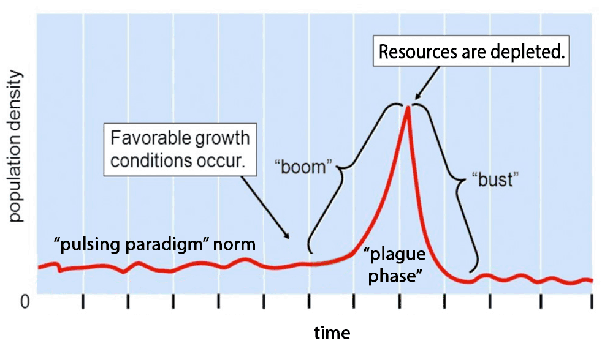 How Do We Solve the Human Population Problem? | by Eric Lee | Medium