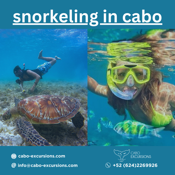 Unveiling the Wonders of Snorkeling in Cabo San Lucas: A Comprehensive 