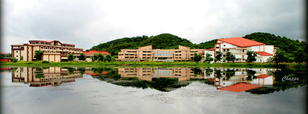 Placements 101 My 2 Cents About The Placement Experience Of IIT 