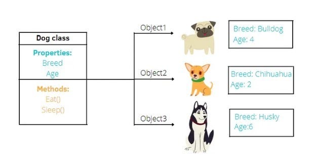 Classes and Objects in Python. What are Classes and Objects in Python ...