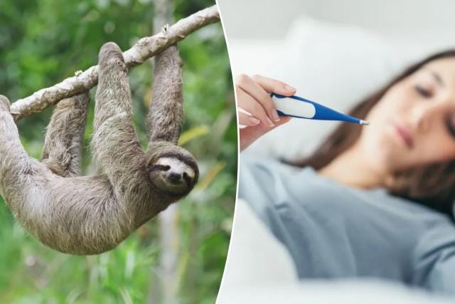 Signs and Symptoms of Sloth Fever Virus You Should Know | by Gaming