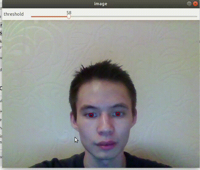 Tracking your eyes with Python. This article is an in-depth tutorial ...
